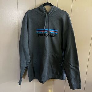 Patagonia Charcoal Green Hoodie with Logo - New with tags!